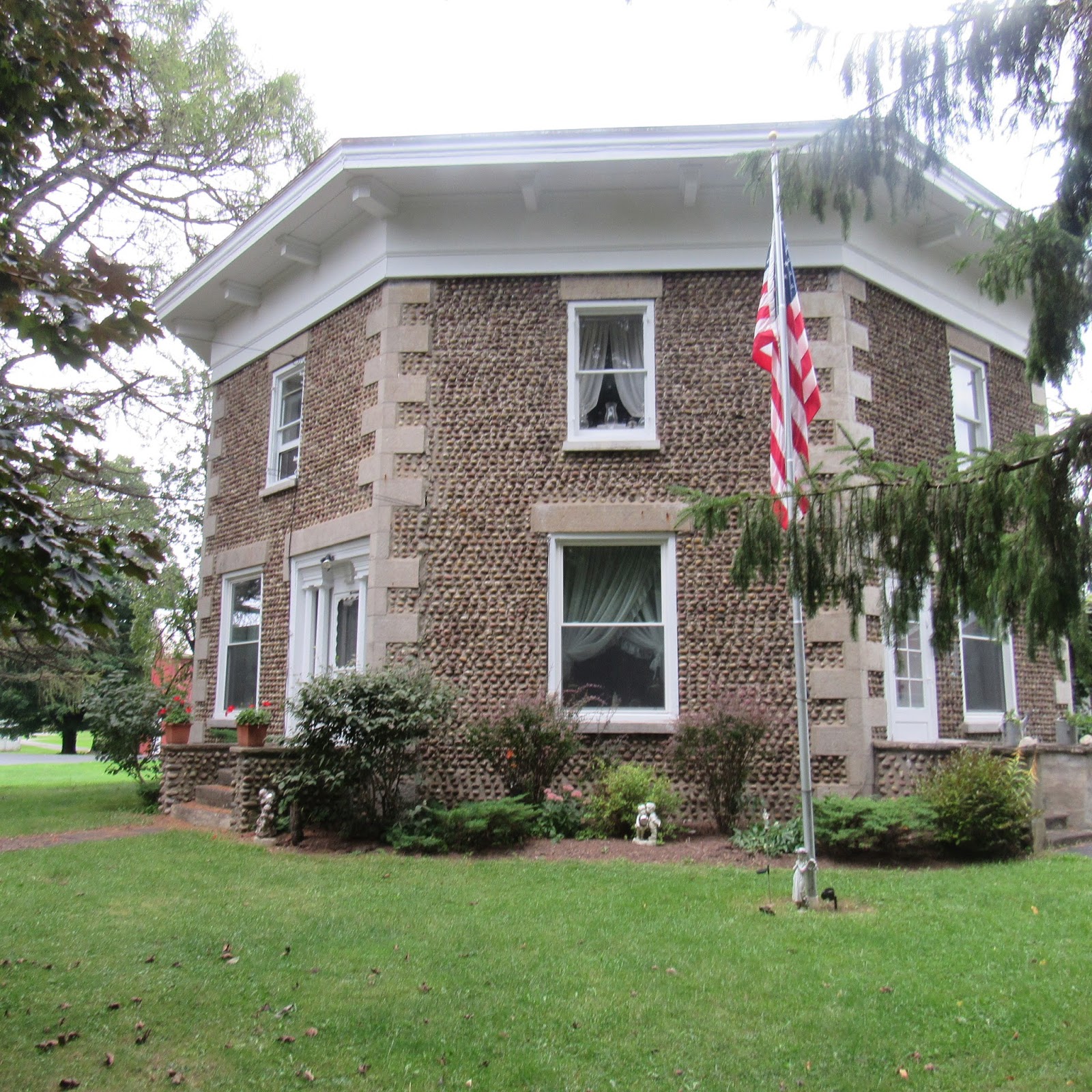 Octagon 1